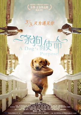 欧美日韩一区二区三区在线视频