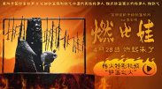精品网站在线观看