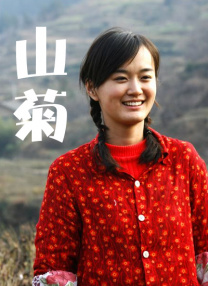 91高清在线看