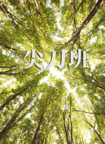 欧美午夜a级限制福利片