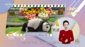久久一区视频